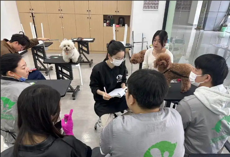 本溪市宠物美容学习宠物美容培训学校 - 方案